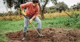 Préparer son sol pour l’hiver : comment l’amender et travailler la terre en automne ?