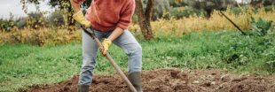Préparer son sol pour l'hiver : comment l'amender et travailler la terre en automne ?