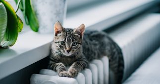 10 conseils pour réduire sa facture de chauffage 10 conseils pour réduire sa facture de chauffage