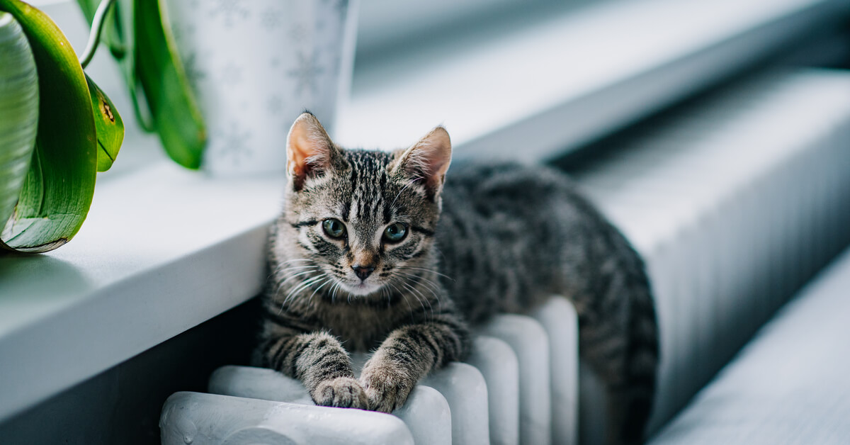 10 conseils pour réduire sa facture de chauffage