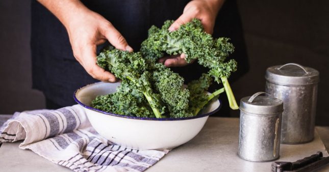 Le chou kale :  un chou frisé très vitaminé, idéal en hiver