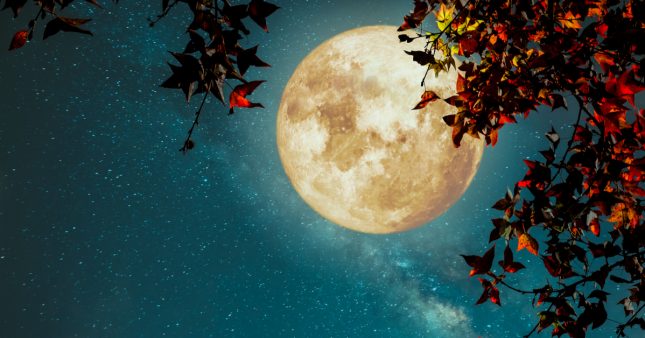 Que voir dans le ciel nocturne en novembre ?