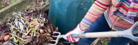 Compost : comment lui faire traverser l’hiver ?