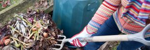 Compost : comment lui faire traverser l'hiver ?