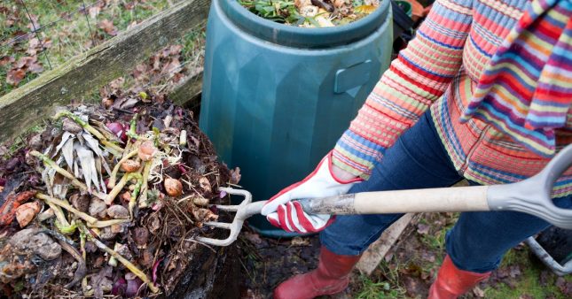 préserver le compost en hiver