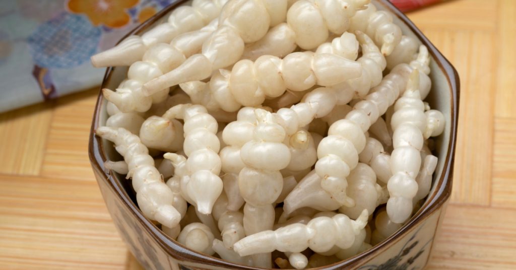 Les légumes oubliés : les crosnes pour trôner au milieu de la table