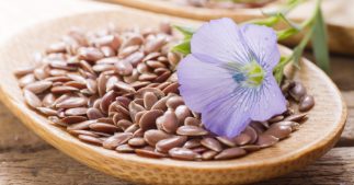 Le gel de lin, l'allié hydratation indispensable Le gel de lin, l'allié hydratation indispensable