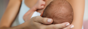 La lactoferrine, l'alliée du système immunitaire de votre bébé