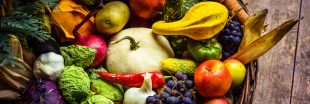 Cuisinez les légumes de saison en novembre : le panier AMAP