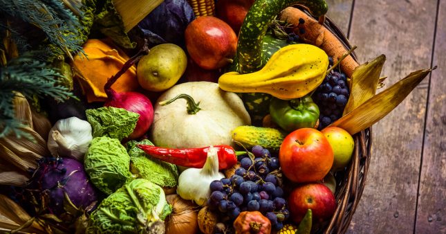 Cuisinez les légumes de saison en novembre : le panier AMAP