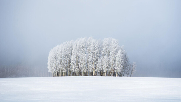 photo climat