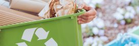 Tout ce qu’il faut savoir sur le recyclage  des emballages et papiers en vidéo