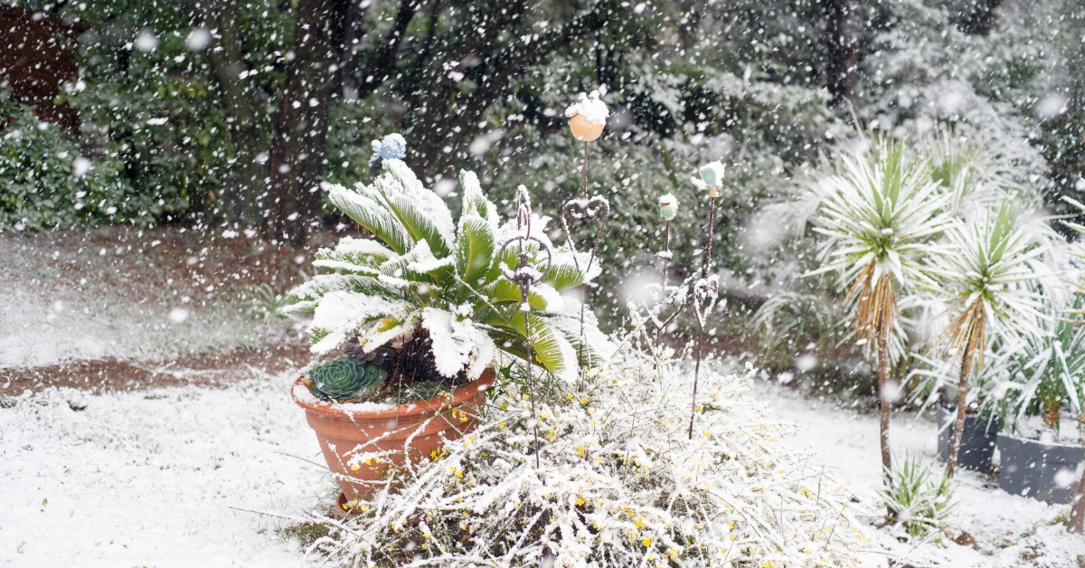 Conseils pour protéger son jardin de la neige