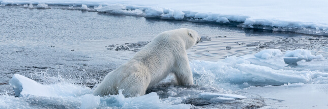 Plus 1,5°C, le seuil dangereux qui pourrait être atteint 20 ans plus tôt que prévu