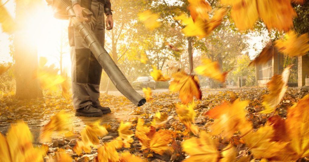 Les souffleurs de feuilles, un fléau à bannir ?