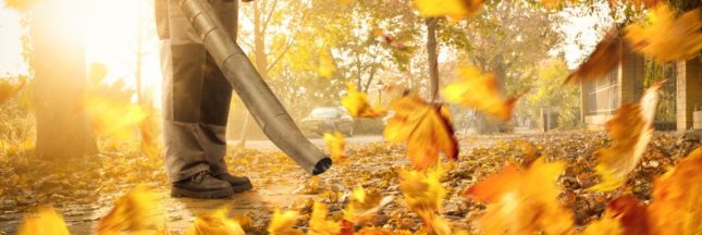 Les souffleurs de feuilles, un fléau