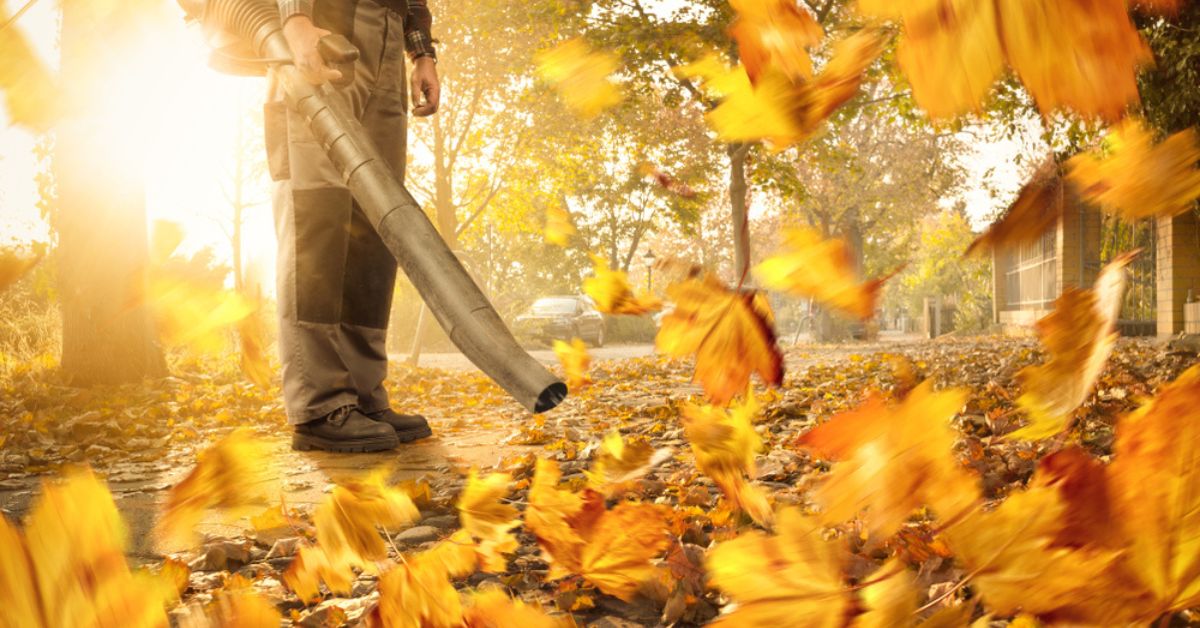 Les souffleurs de feuilles, un fléau à bannir ?