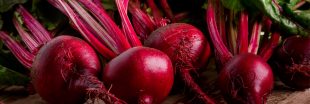 La betterave rouge : un concentré de bienfaits toute l'année La betterave rouge : un concentré de bienfaits toute l'année