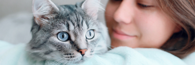 Les chats nés après 2012 doivent désormais être identifiés, c'est obligatoire !