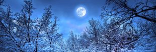 Pluie d'étoiles filantes, éclipse de lune... Que voir dans le ciel en janvier ?