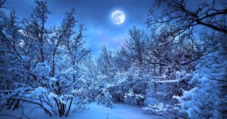 Pluie d'étoiles filantes, éclipse de lune... Que voir dans le ciel en janvier ? Pluie d'étoiles filantes, éclipse de lune... Que voir dans le ciel en janvier ?