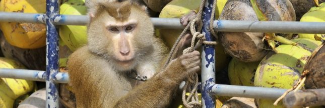 Vacances à la neige : 5 règles d’or pour ne pas polluer à la montagne Vacances à la neige : 5 règles d’or pour ne pas polluer à la montagne