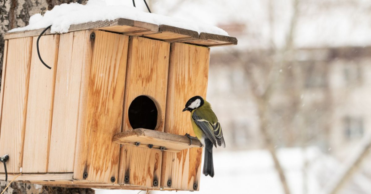 nichoir pour oiseau