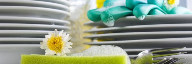 liquide vaisselle écologique