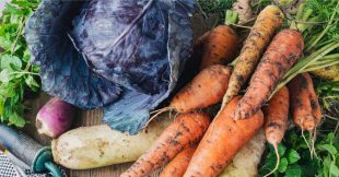 Manger de saison en février : quels fruits, légumes, viandes, poissons et fromages ?