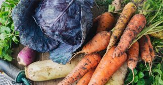 Manger de saison en février : quels fruits, légumes, viandes, poissons et fromages ? Manger de saison en février : quels fruits, légumes, viandes, poissons et fromages ?