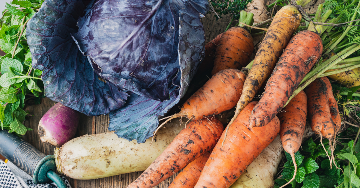 Manger de saison en février : quels fruits, légumes, viandes, poissons et fromages ? Manger de saison en février : quels fruits, légumes, viandes, poissons et fromages ?