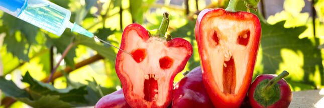 Miam, des centaines d'OGM dans nos assiettes selon la DGCCRF Miam, des centaines d'OGM dans nos assiettes selon la DGCCRF