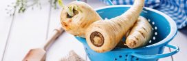 Panais : bienfaits, calories, recettes et conseils pour le cuisiner tout l'hiver