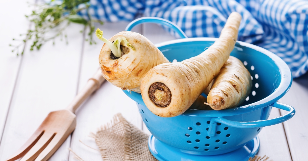 Panais : bienfaits, calories, recettes et conseils pour le cuisiner tout l'hiver