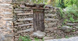 Pierres et bois pour un potager sans ravageurs et plein de vie