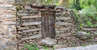 Pierres et bois pour un potager sans ravageurs et plein de vie Pierres et bois pour un potager sans ravageurs et plein de vie