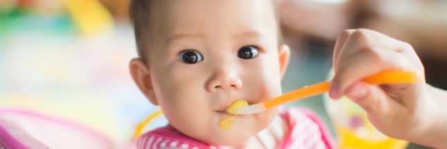 diversification alimentaire