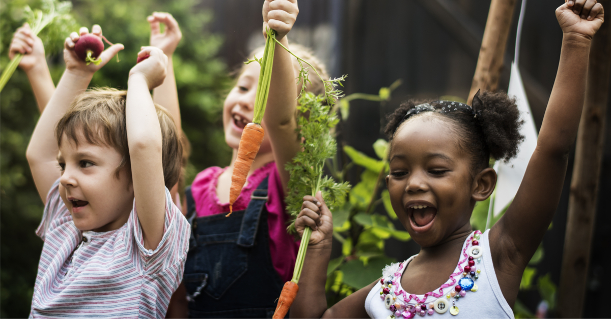 Lancement De La 1ere Coupe De France Des Potagers Inscrivez Votre Ecole Lancement De La 1ere Coupe De France Des Potagers Inscrivez Votre Ecole