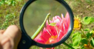 Observatoire National de la Biodiversité - Quels outils pour préserver le vivant ? Observatoire National de la Biodiversité - Quels outils pour préserver le vivant ?