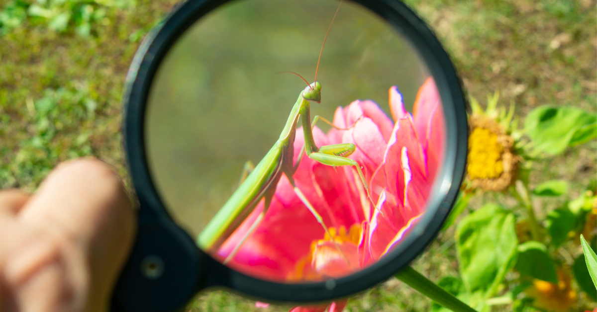 Observatoire National de la Biodiversité - Quels outils pour préserver le vivant ?