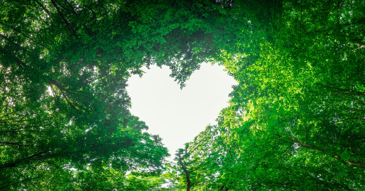 Eco-sexe, repas aphrodisiaque bio... 9 idées pour une Saint-Valentin écolo Eco-sexe, repas aphrodisiaque bio... 9 idées pour une Saint-Valentin écolo