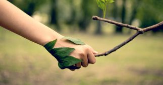 #MaintenantOuJamais se mobiliser pour une loi climat plus ambitieuse