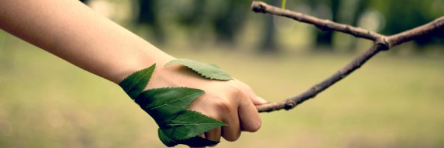 convention citoyenne