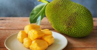 Le jacquier, un fruit qui remplace la viande