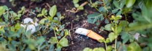 Mégots dans la nature : les cigarettiers vont devoir passer à la caisse