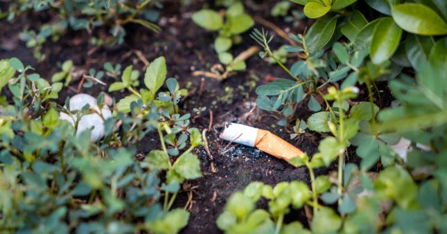Mégots dans la nature : les cigarettiers vont devoir passer à la caisse
