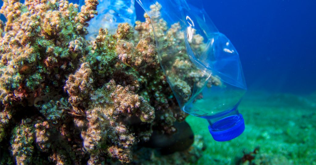 Microplastiques dans les océans : le point de non retour est-il atteint ?