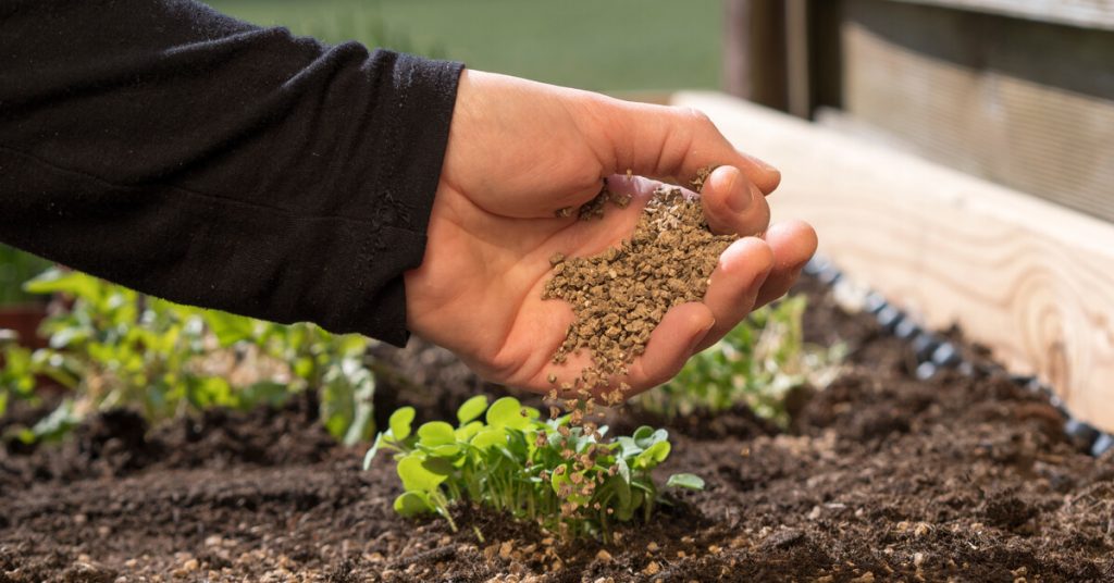 Jardins ou chambres froides : des reconversions insolites pour les parkings souterrains