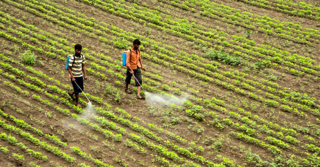 Hausse vertigineuse des intoxications et décès dus aux pesticides