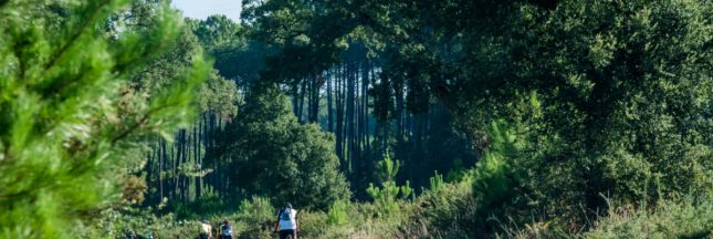 plantation rebellion planter des arbres